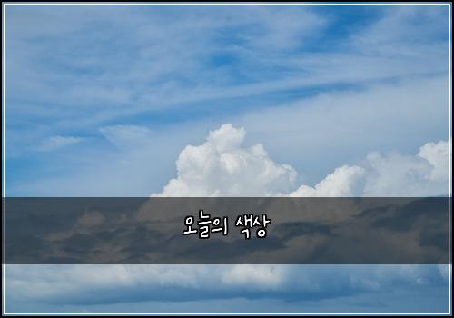 오늘의 색상