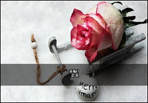 별빛
