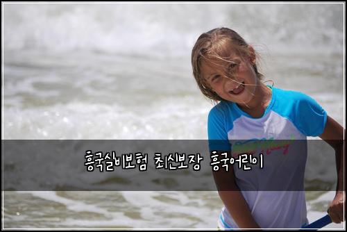 흥국실비보험 최신보장  흥국어린이