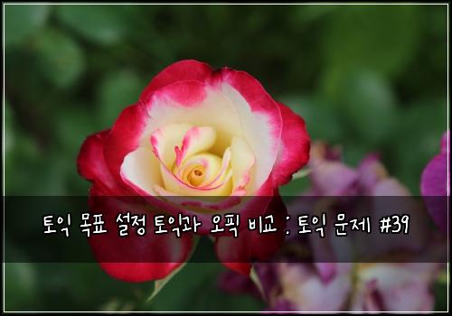 토익 목표 설정 토익과 오픽 비교 : 토익 문제 #39