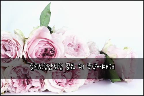 ์ค๋น๋ณดํ์๋ณดํ ํ์ ํด ํน์ฝ์๋ํด
