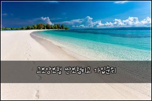 교보암보험 싼보험비교  가입순위