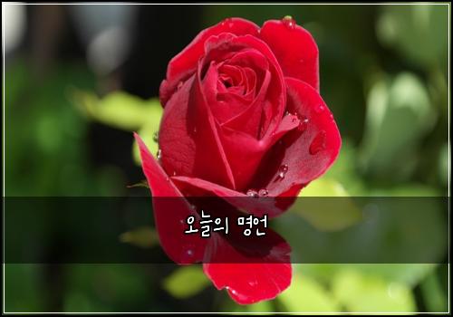 오늘의 명언