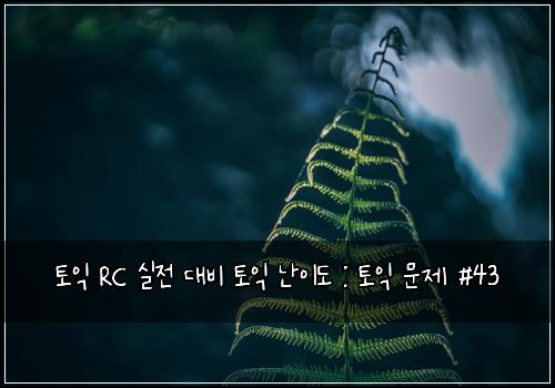 토익 RC 실전 대비 토익 난이도 : 토익 문제 #43