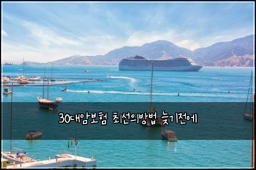 30λμ보ν μ΅μ μλ°©λ² λ¦κΈ°μ μ