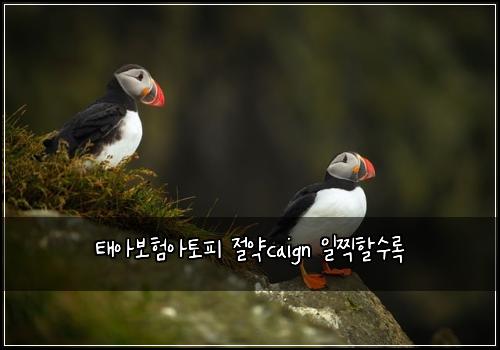 태아보험아토피 절약caign 일찍할수록