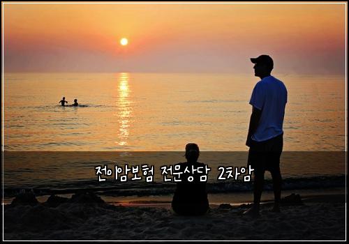 전이암보험 전문상담  2차암