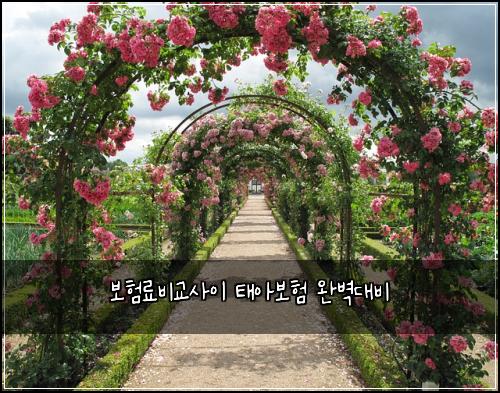 보험료비교사이 태아보험 완벽대비