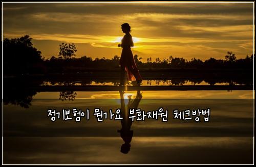 정기보험이 뭔가요 부화재원 체크방법