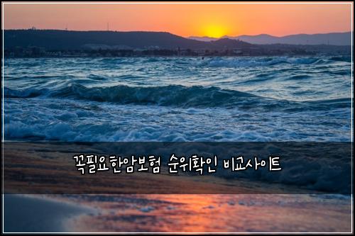 꼭필요한암보험 순위확인  비교사이트