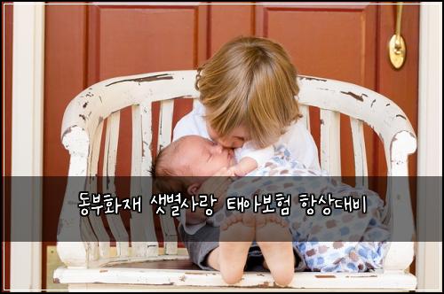 ๋๋ถํ์ฌ ์๋ณ์ฌ๋ ํ์๋ณดํ ํญ์๋๋น