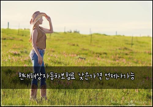 현대해상자동차보험료 낮은가격 언제나가능