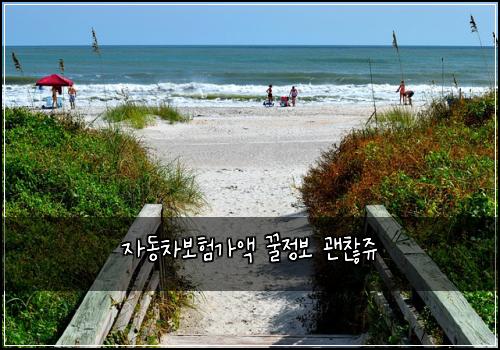 자동차보험가액 꿀정보 괜찮쥬