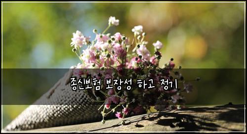 ์ข
์ ๋ณดํ ๋ณด์ฅ์ฑ ํ๊ณ ์ ๊ธฐ