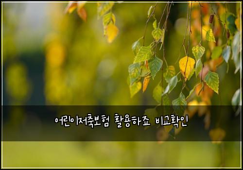 어린이저축보험 활용하죠  비교확인