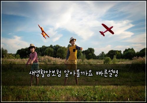 새생활암보험 알아볼까요  빠른설명
