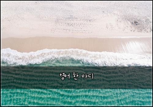 영어 한 마디