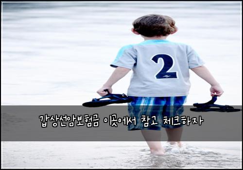 갑상선암보험금 이곳에서 참고 체크하자