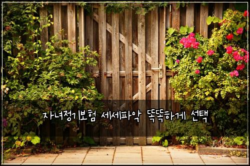 자녀정기보험 세세파악  똑똑하게 선택