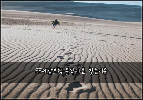 55세암보험 분석자료  찾는이유