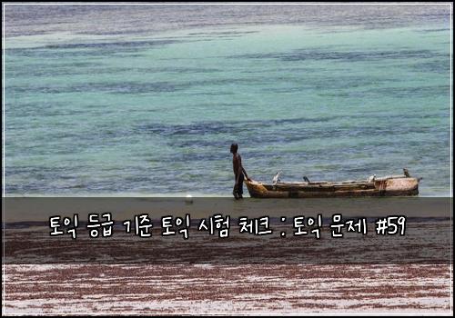 토익 등급 기준 토익 시험 체크 : 토익 문제 #59