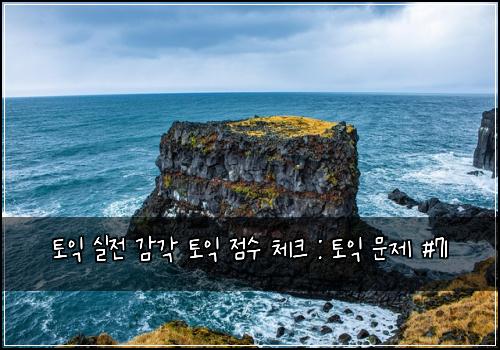 토익 실전 감각 토익 점수 체크 : 토익 문제 #71