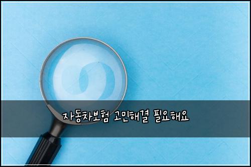 ์๋์ฐจ๋ณดํ ๊ณ ๋ฏผํด๊ฒฐ ํ์ํด์