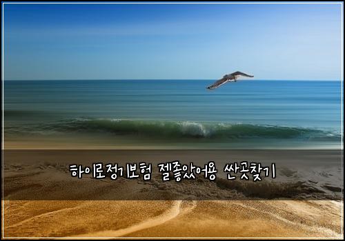 하이로정기보험 젤좋았어용  싼곳찾기