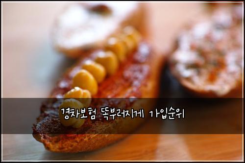 경차보험 똑부러지게  가입순위