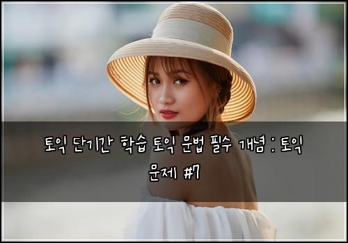토익 단기간 학습 토익 문법 필수 개념 : 토익 문제 #7