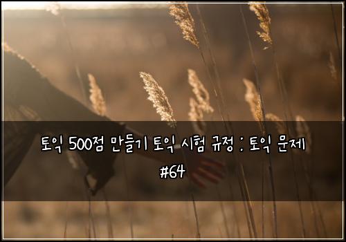 토익 500점 만들기 토익 시험 규정 : 토익 문제 #64