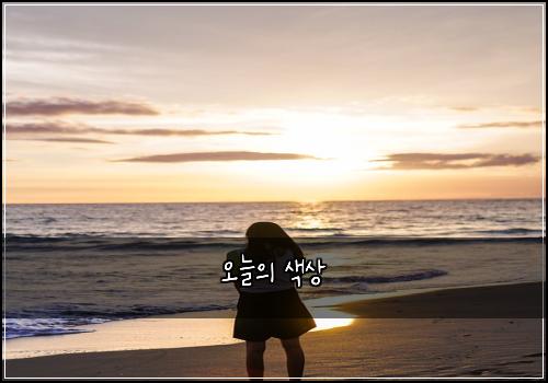 오늘의 색상