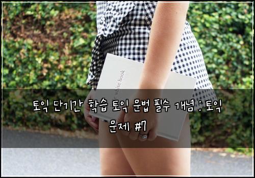 토익 단기간 학습 토익 문법 필수 개념 : 토익 문제 #7