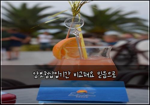 암보험납입기간 비교해요 믿음으로