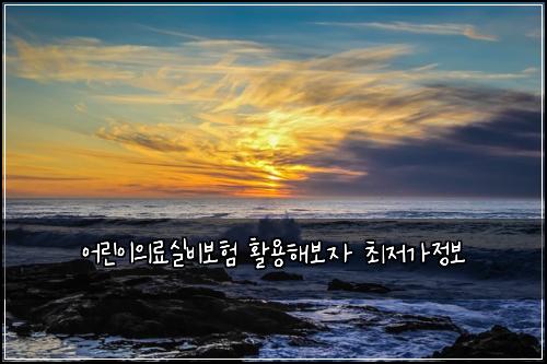 어린이의료실비보험 활용해보자  최저가정보