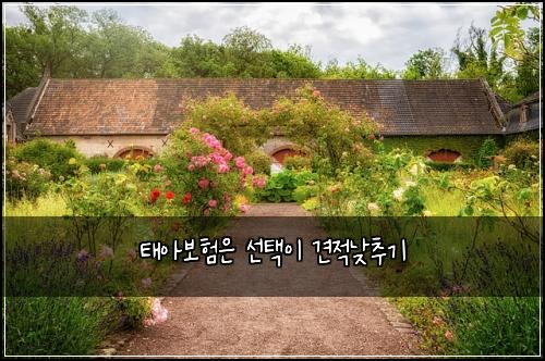 태아보험은 선택이 견적낮추기