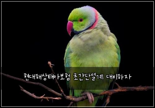 현대해상태아보험 초간단설계  대비하자