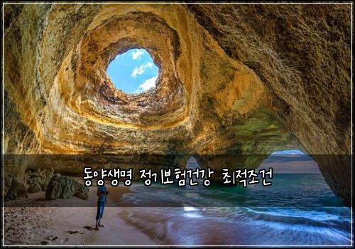 동양생명 정기보험건강 최적조건