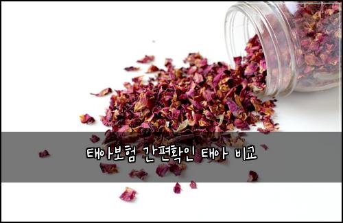 태아보험 간편확인  태아 비교