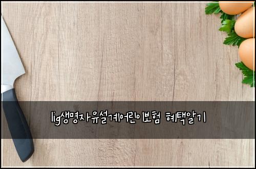 lig생명자유설계어린이보험 혜택알기 