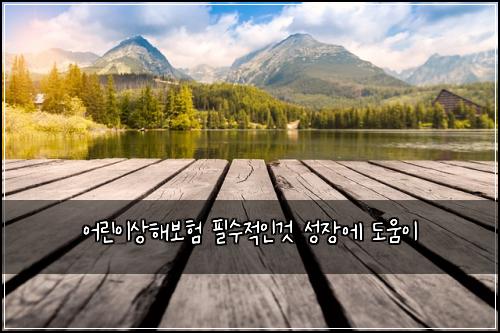 어린이상해보험 필수적인것  성장에 도움이