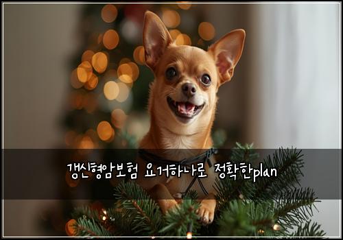 갱신형암보험 요거하나로  정확한plan