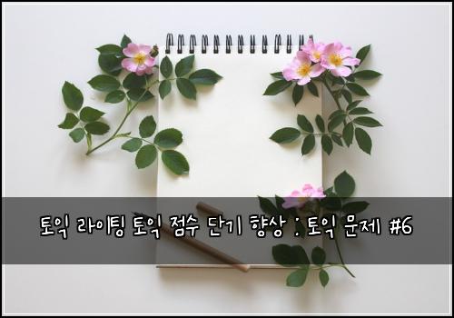 토익 라이팅 토익 점수 단기 향상 : 토익 문제 #6