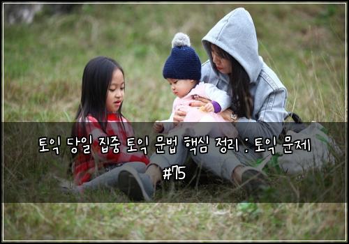 토익 당일 집중 토익 문법 핵심 정리 : 토익 문제 #75