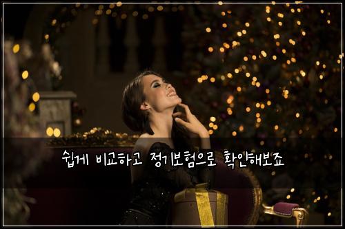 쉽게 비교하고 정기보험으로 확인해보죠