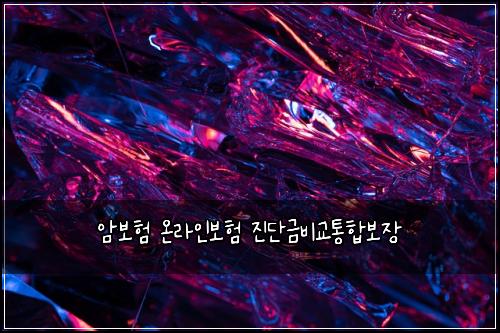 ์๋ณดํ ์จ๋ผ์ธ๋ณดํ ์ง๋จ๊ธ๋น๊ตํตํฉ๋ณด์ฅ