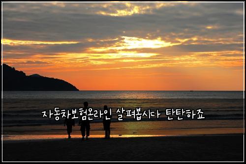 자동차보험온라인 살펴봅시다 탄탄하죠