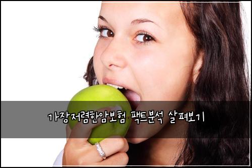 가장저렴한암보험 팩트분석  살펴보기