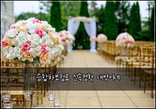 승합차보험료 신속정확 대박이네