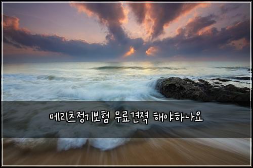 메리츠정기보험 무료견젹  해야하나요